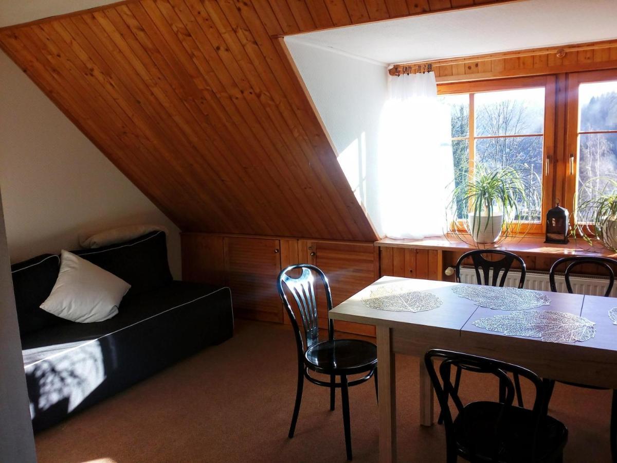 Apartamencik Na Slonecznej ピエホビツェ エクステリア 写真