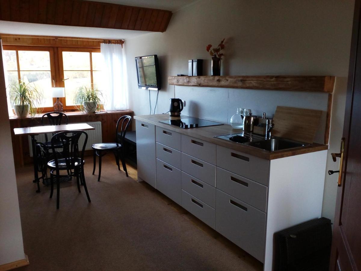 Apartamencik Na Slonecznej ピエホビツェ エクステリア 写真