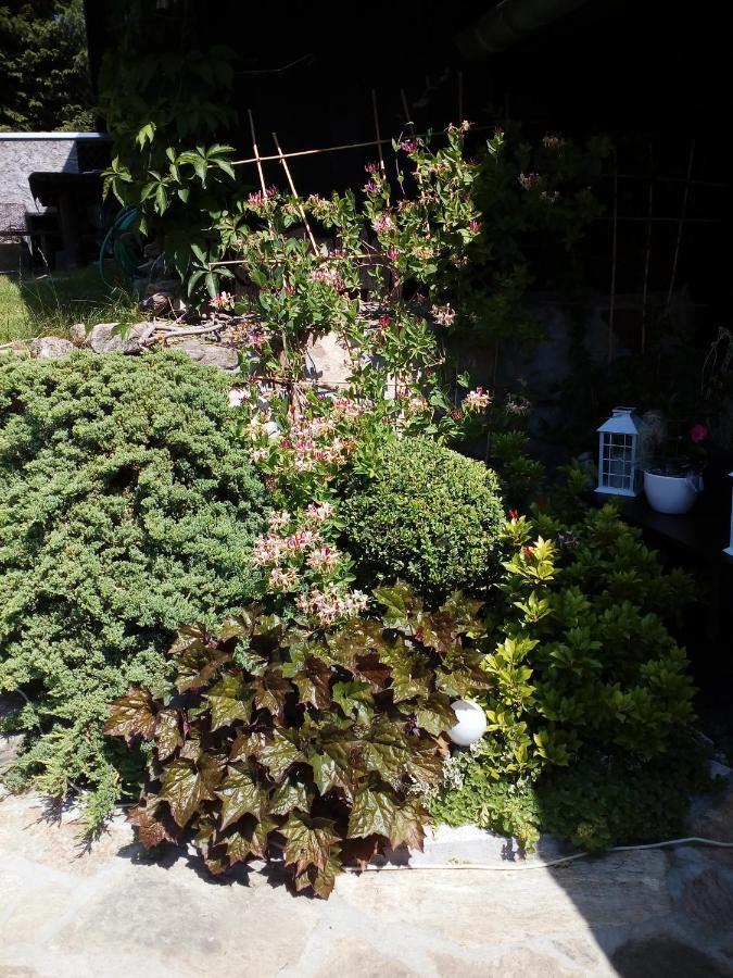 Apartamencik Na Slonecznej ピエホビツェ エクステリア 写真