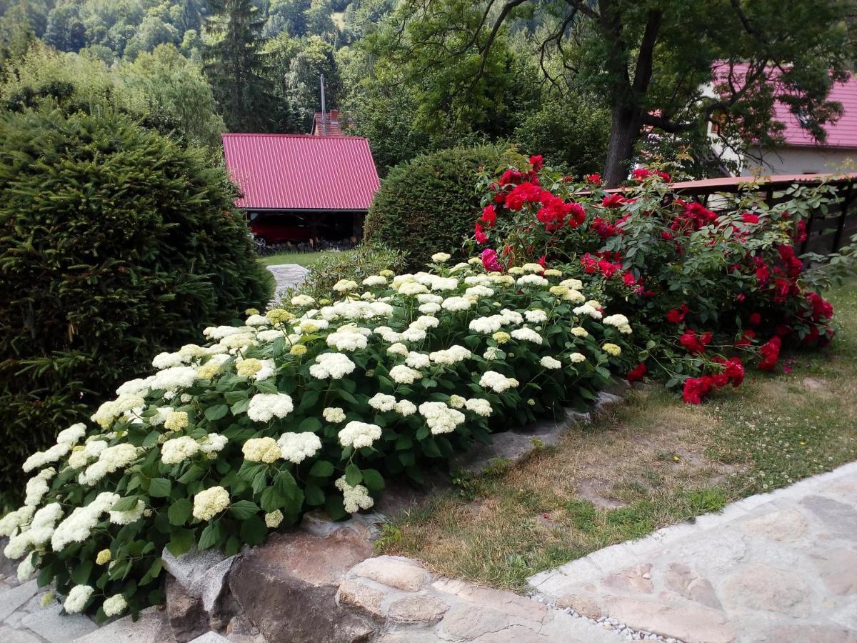 Apartamencik Na Slonecznej ピエホビツェ エクステリア 写真