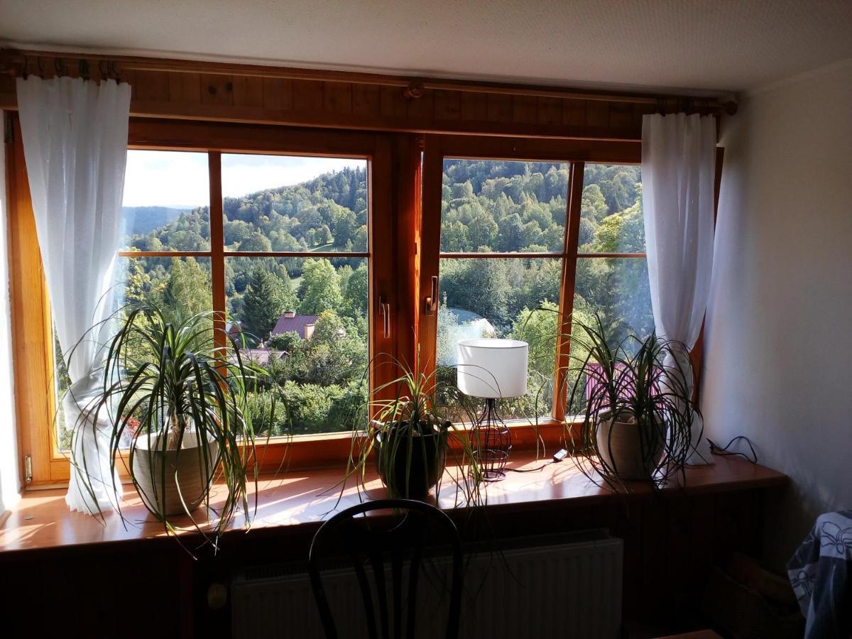 Apartamencik Na Slonecznej ピエホビツェ エクステリア 写真